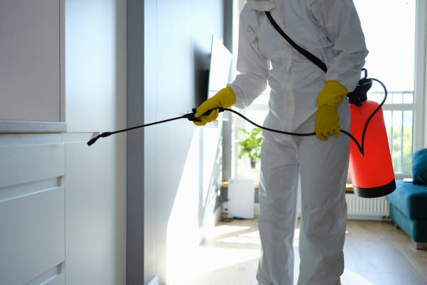 Best Home Mold Removal  in Kingston Estates, NJ